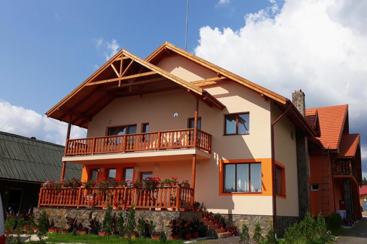 Pensiunea Teo Bilbor Exterior photo